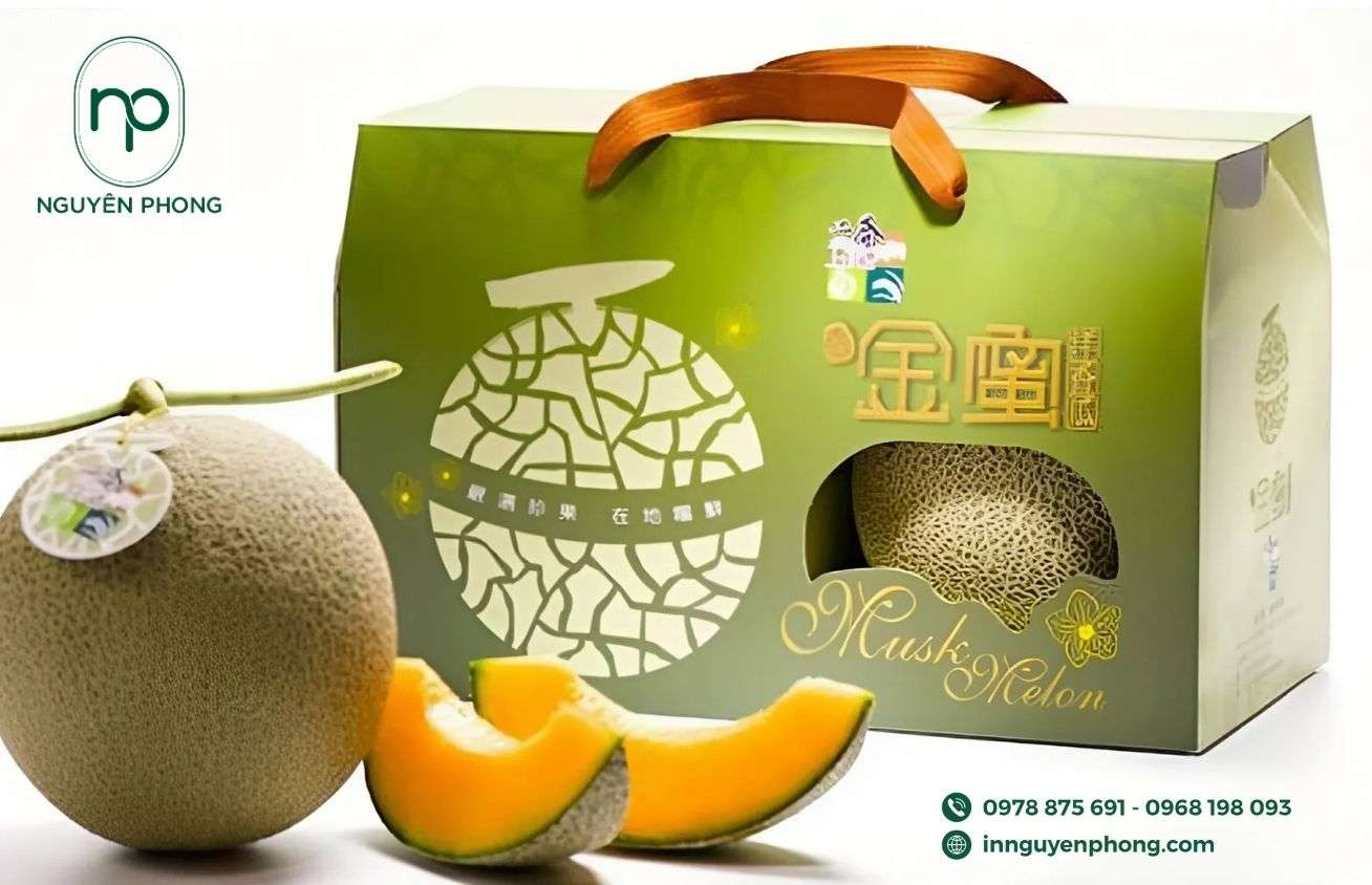 mau-hop-giay-dung-dua-luoi-sang-trong